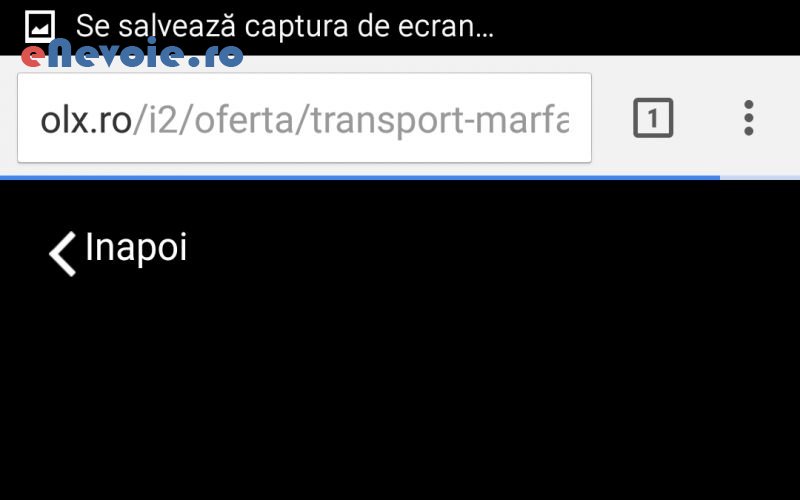 1servicii-mutari-transport-marfuri-transport-depozitare--vasile-pop-97.png