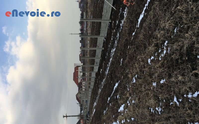 3porti-si-garduri-casa-si-gradina--zaharie-crist.png